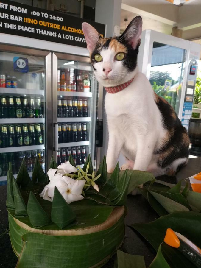 Us Hostel Samui Bophut Dış mekan fotoğraf